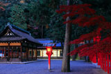 吉田神社 本宮拝殿と神楽殿