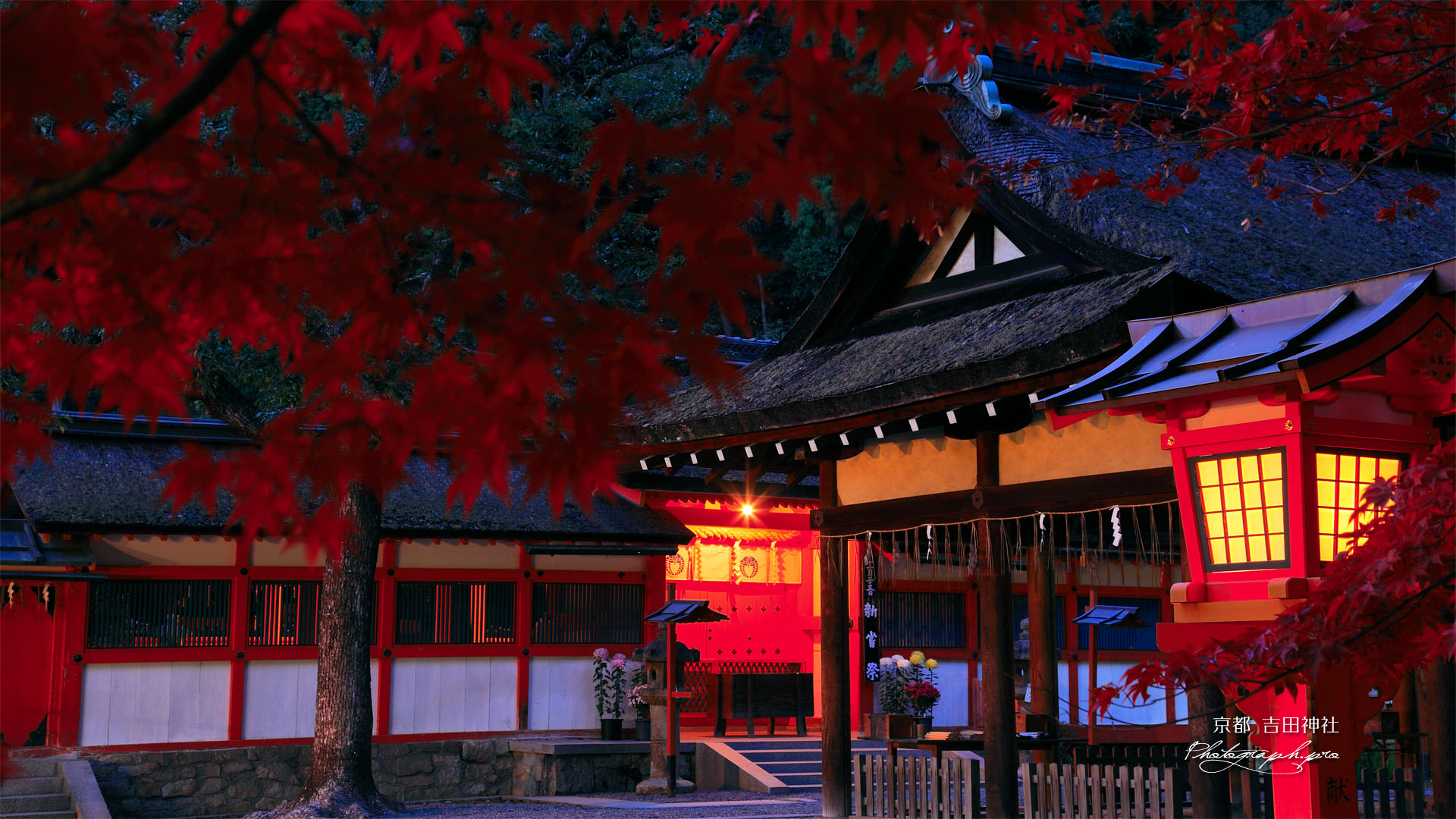 本宮の紅葉