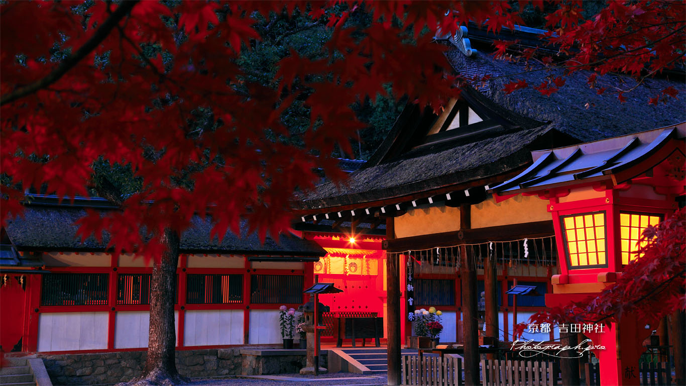 本宮の紅葉 壁紙