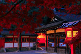 京都吉田神社 本宮の紅葉