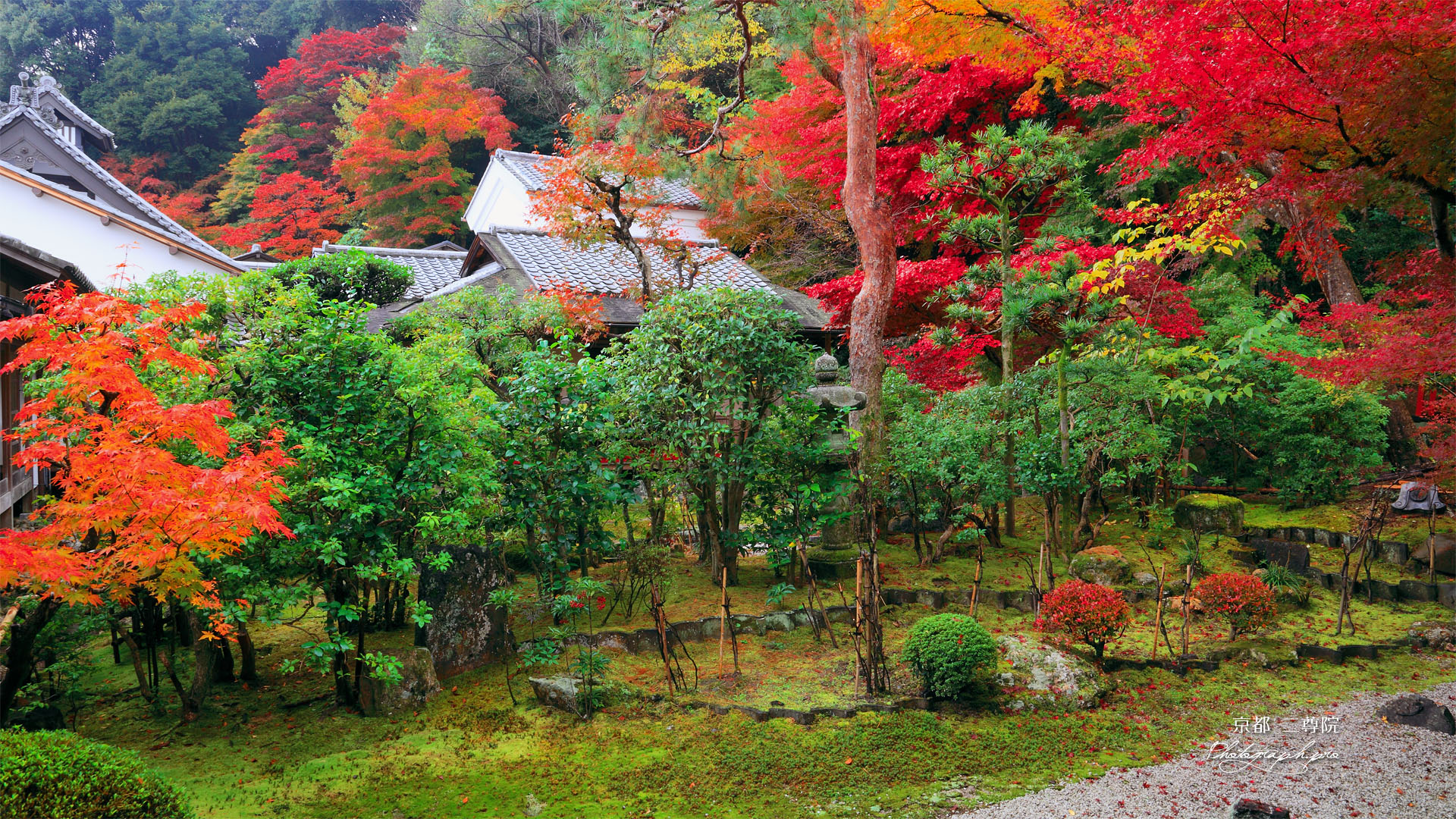 二尊院寂光園の紅葉