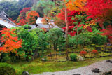 二尊院寂光園の紅葉