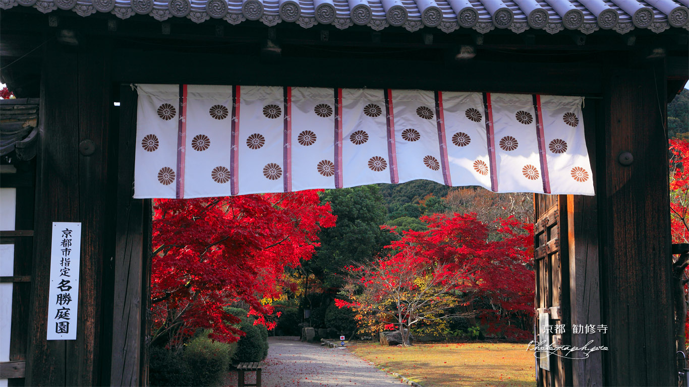 勧修寺 中門越しの紅葉 壁紙
