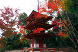 浄瑠璃寺 紅葉の三重塔