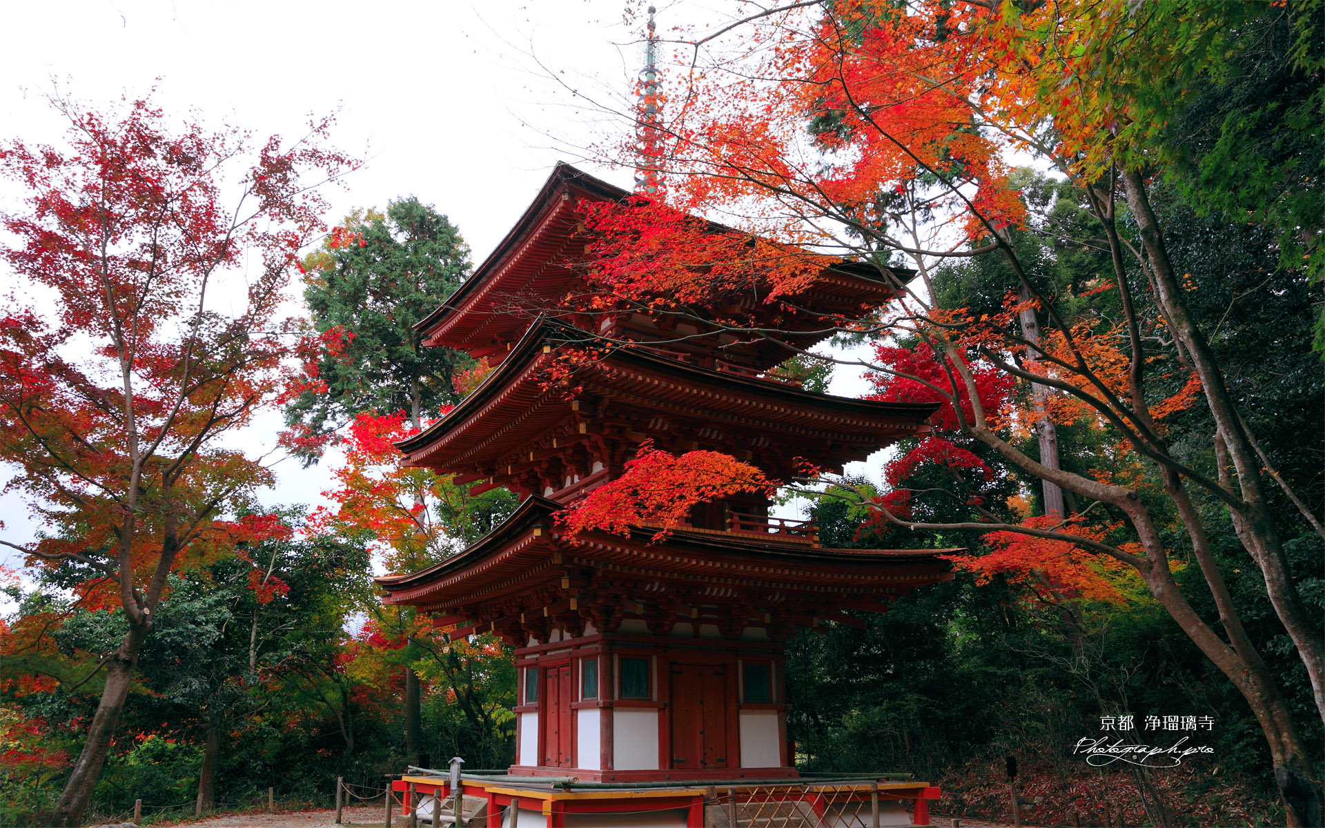 浄瑠璃寺 紅葉の三重塔