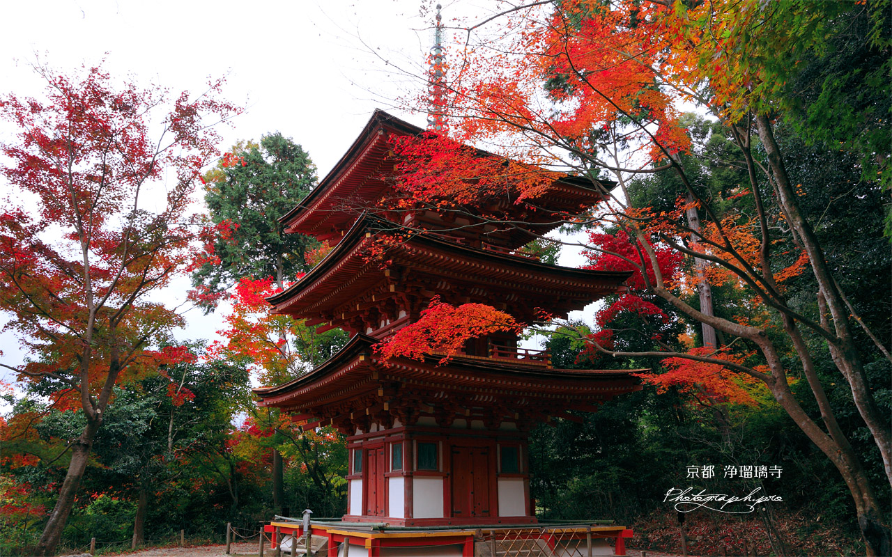 浄瑠璃寺 紅葉の三重塔 壁紙