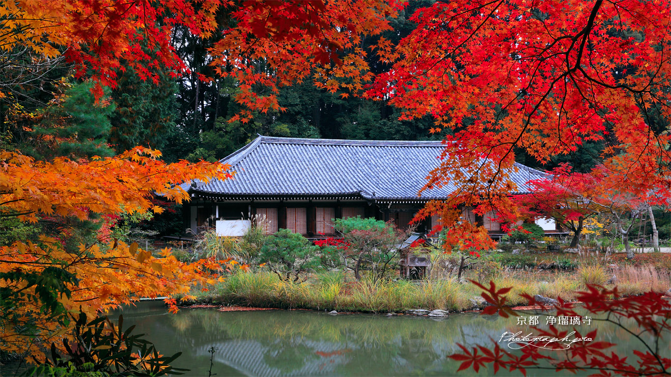 浄瑠璃寺 紅葉越しの本堂 壁紙