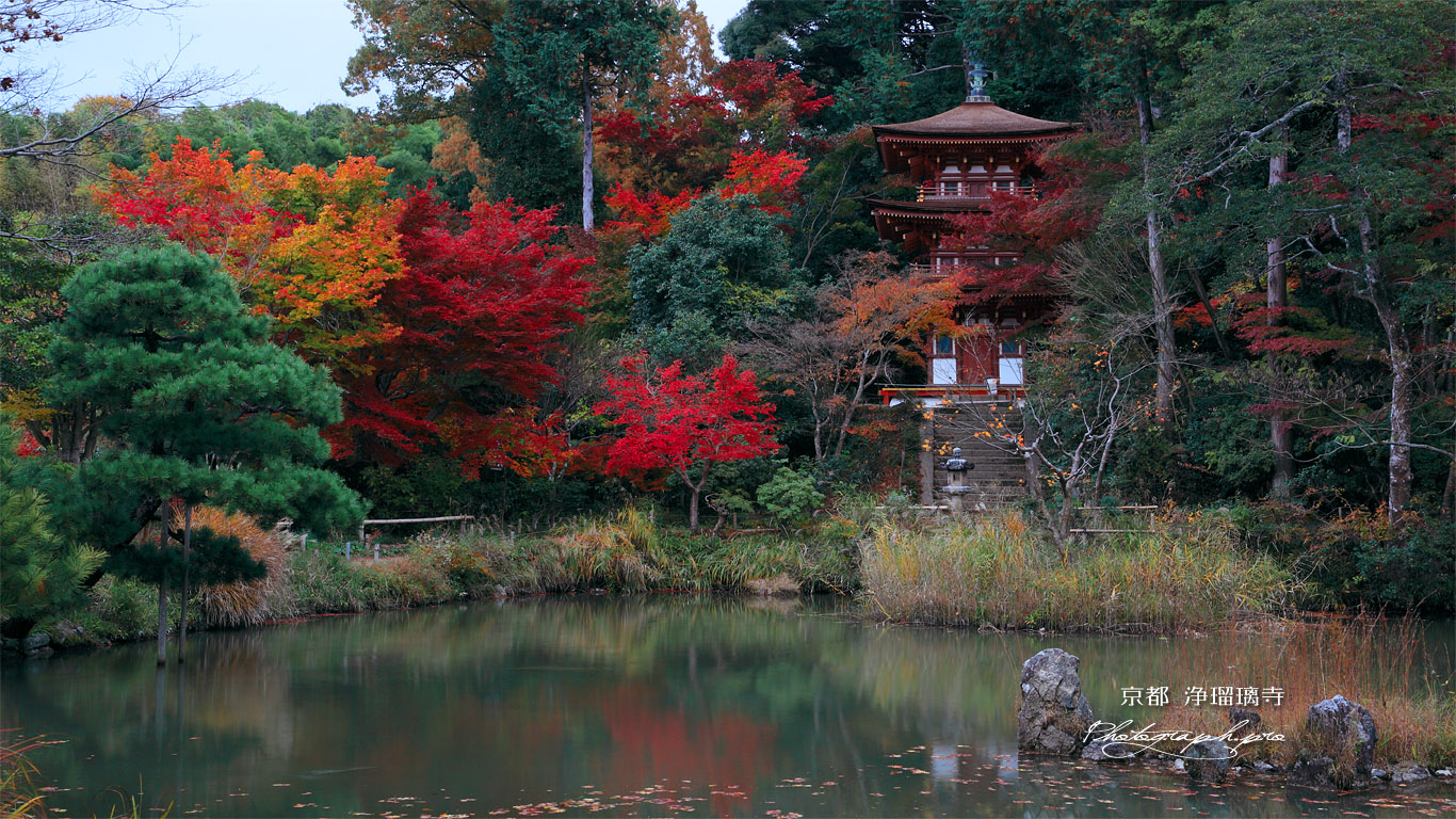 浄瑠璃寺 紅葉の庭園と三重塔 壁紙