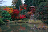 浄瑠璃寺 紅葉の庭園と三重塔