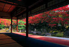 高台寺圓徳院