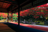 高台寺圓徳院