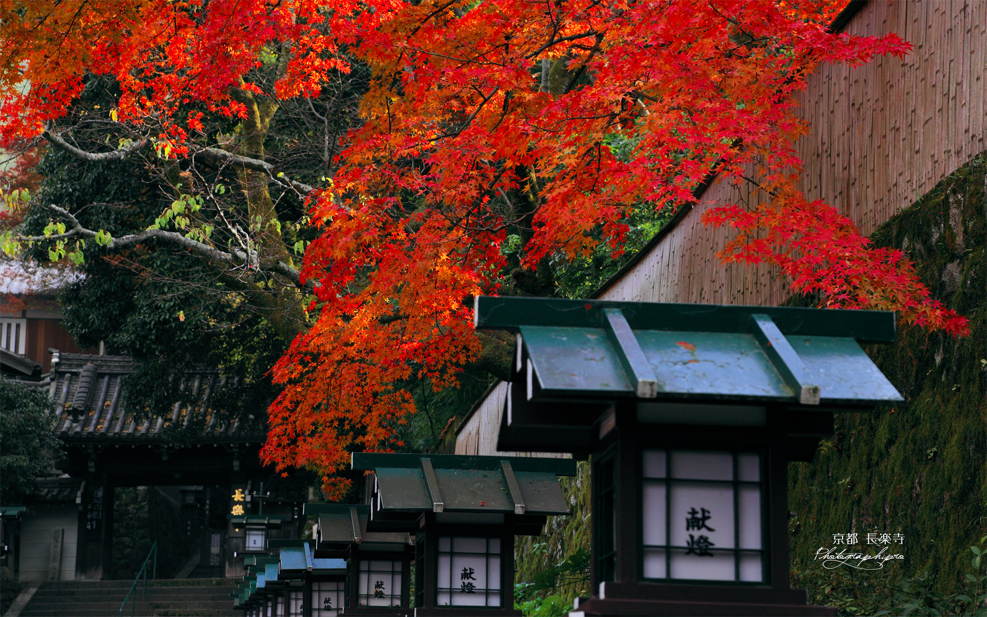京都長楽寺 紅葉と山門