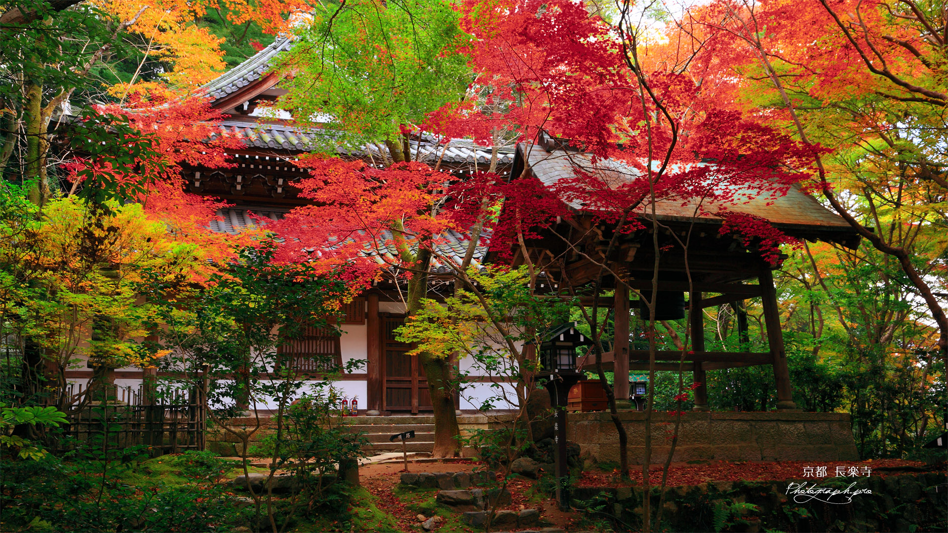 長楽寺 紅葉の本堂と鐘楼