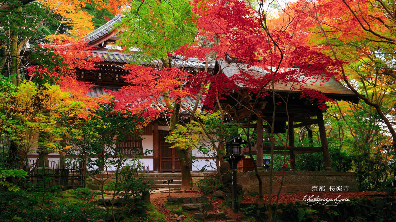 長楽寺 紅葉の本堂と鐘楼 壁紙