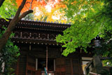 京都長楽寺 紅葉の本堂