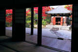 建仁寺 方丈から紅葉の納骨堂