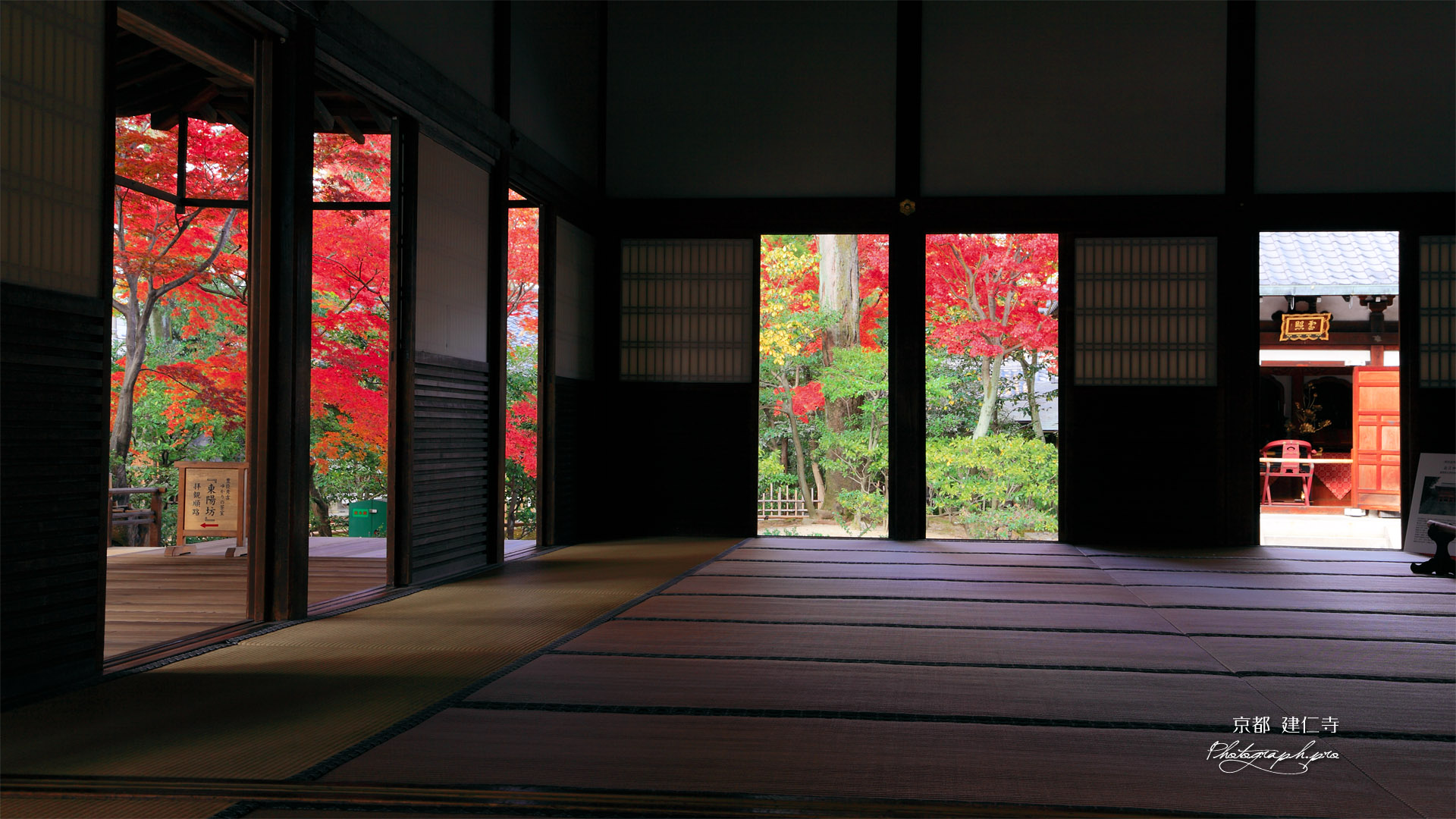 建仁寺 方丈からの紅葉