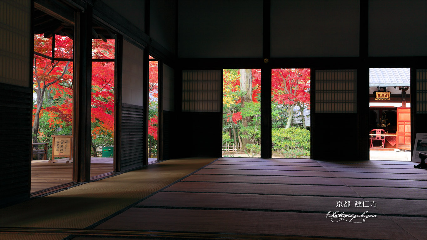 建仁寺 方丈からの紅葉 壁紙