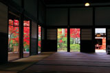 建仁寺 方丈からの紅葉