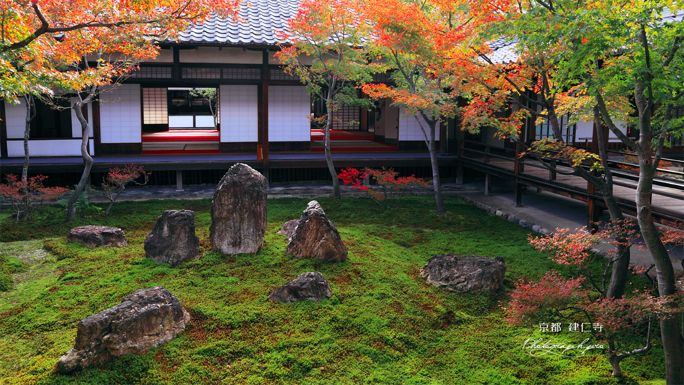 建仁寺 紅葉の潮音庭と小書院 壁紙