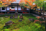 建仁寺 紅葉の潮音庭と小書院