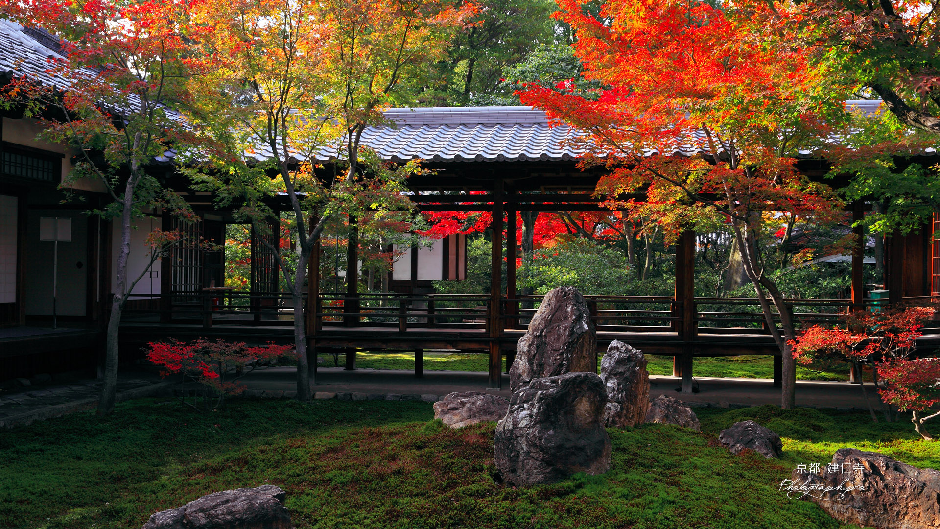 建仁寺 潮音庭の紅葉