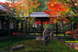 建仁寺 潮音庭の紅葉2010