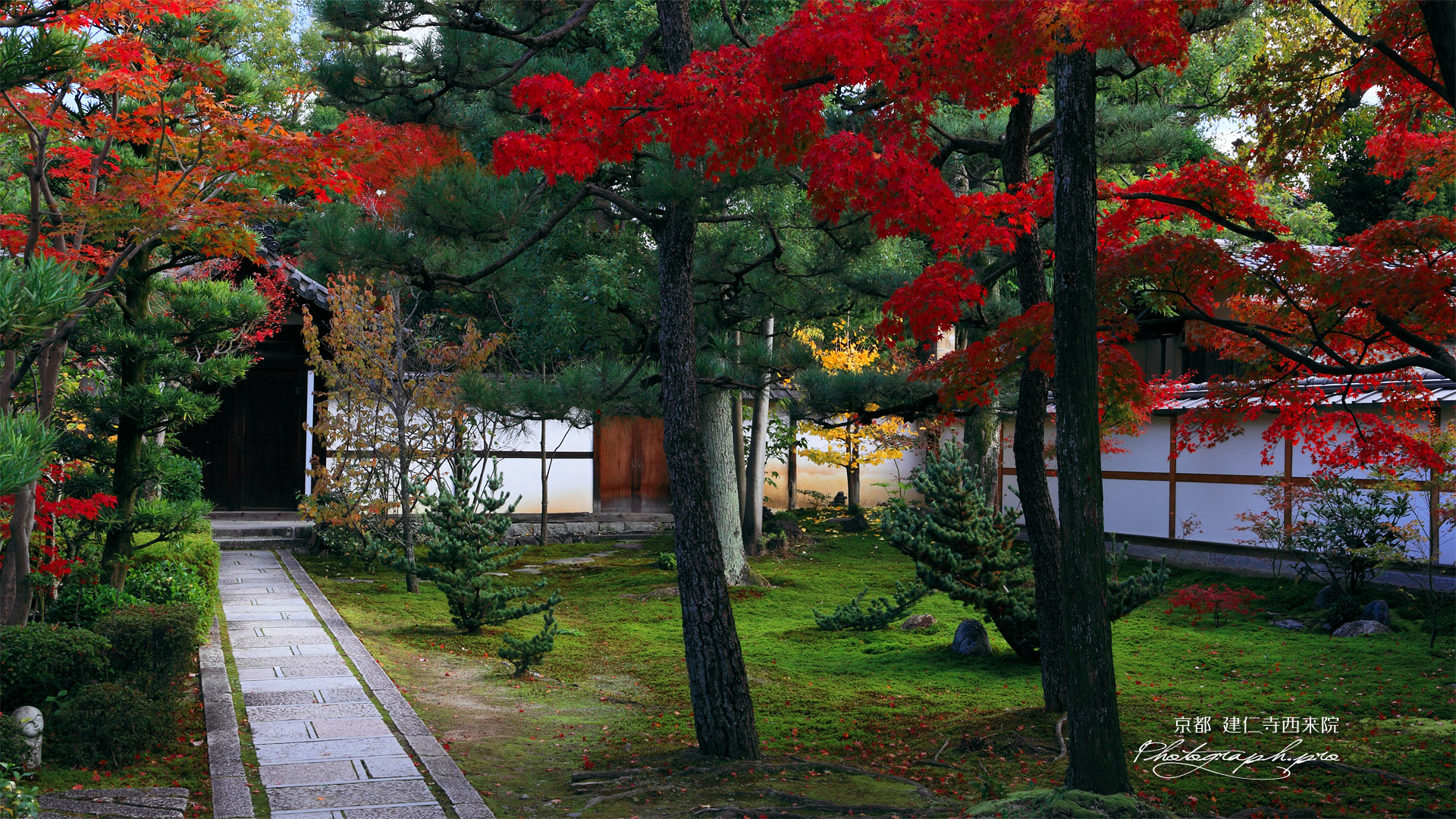 建仁寺西来院の紅葉