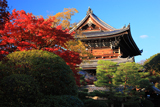 知恩院友禅苑 紅葉と三門
