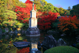 知恩院友禅苑 紅葉の補陀落池