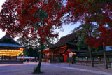 八坂神社 紅葉の境内