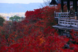 清水寺 紅葉越しの舞台と京都市街