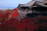 紅葉の清水の舞台