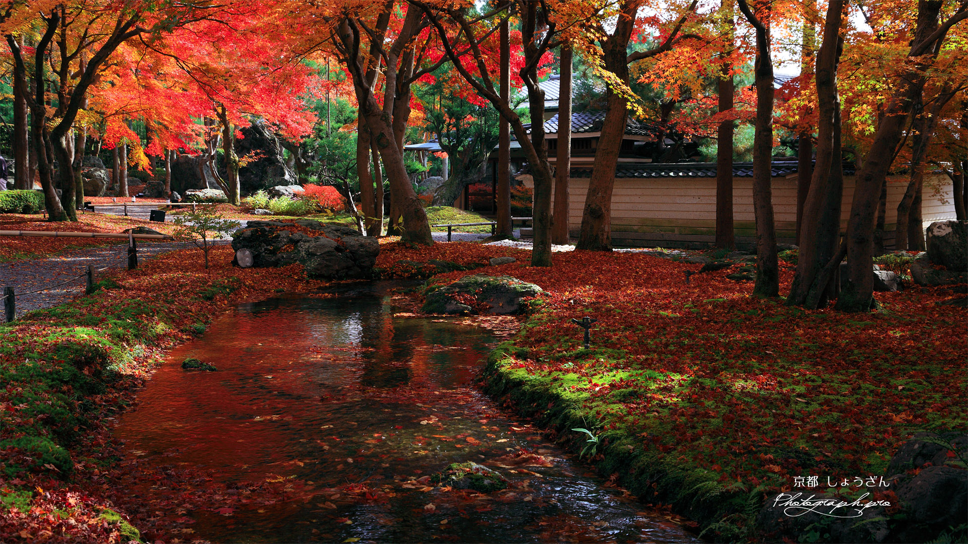 しょうざん 小川と散り紅葉