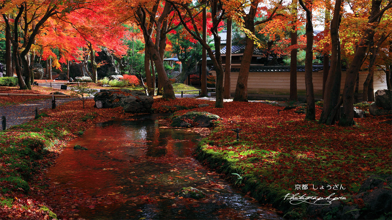 しょうざん 小川と散り紅葉 壁紙