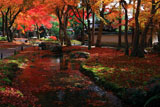 しょうざん 小川と散り紅葉