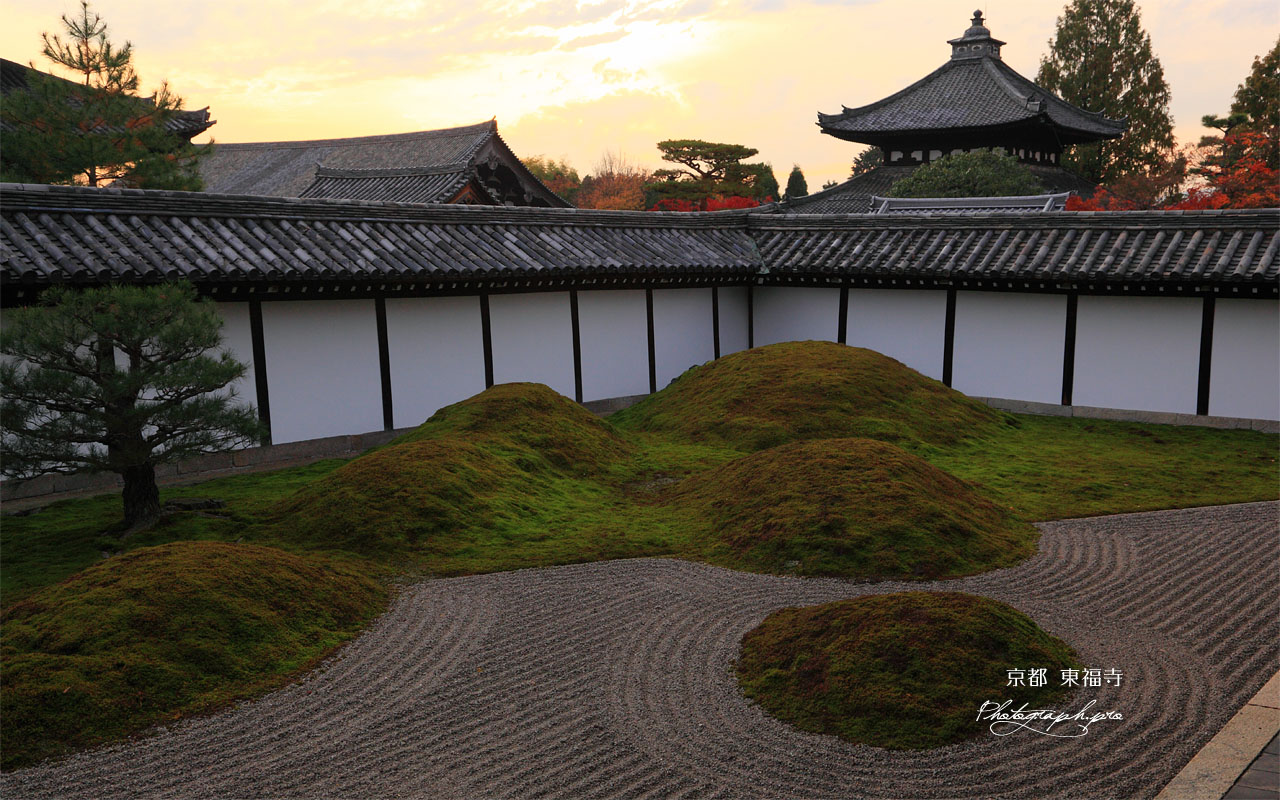 東福寺方丈南庭からの夕焼け 壁紙
