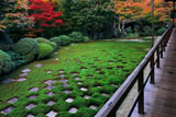 東福寺方丈北庭の紅葉