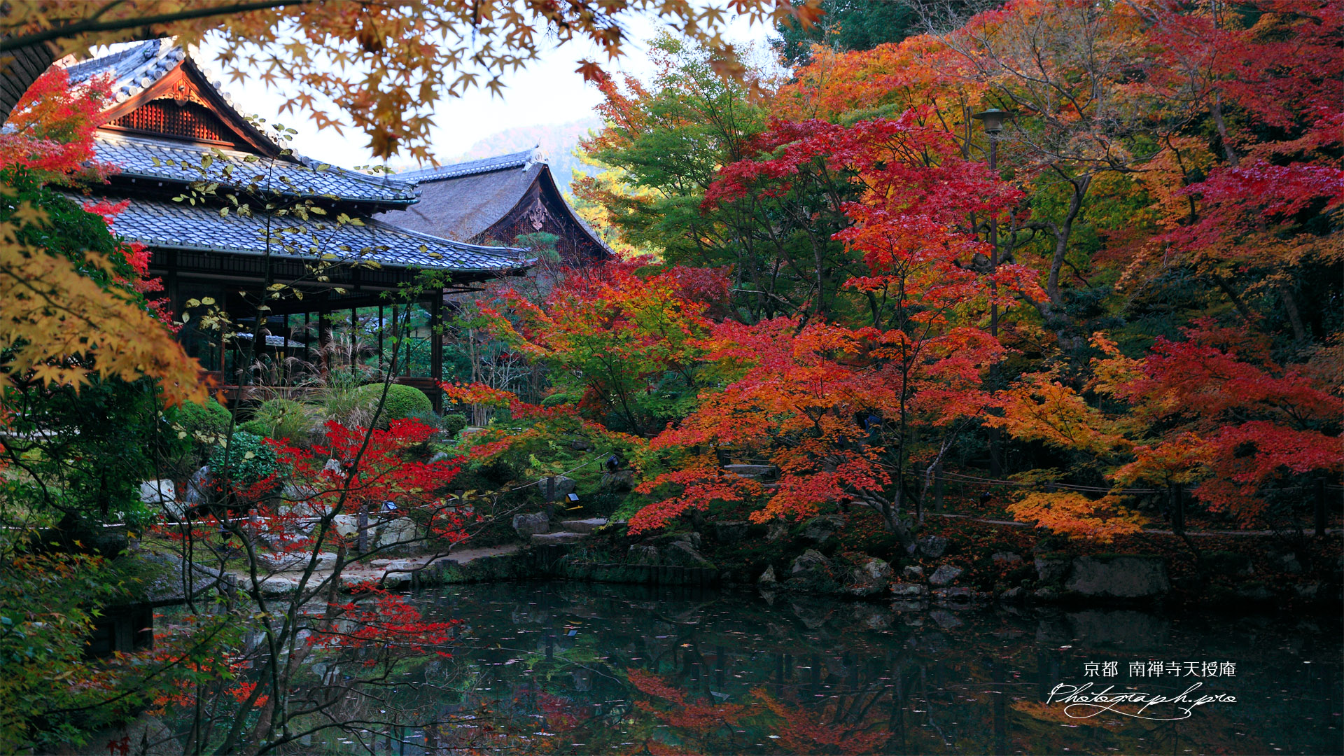南禅寺天授庵 書院南庭西池の紅葉