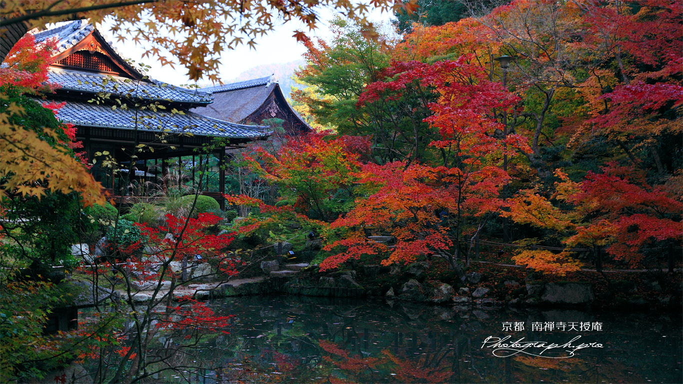 南禅寺天授庵 書院南庭西池の紅葉 壁紙