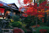 南禅寺天授庵 南庭の紅葉