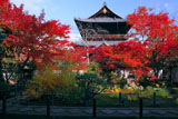 南禅寺天授庵からの紅葉と三門