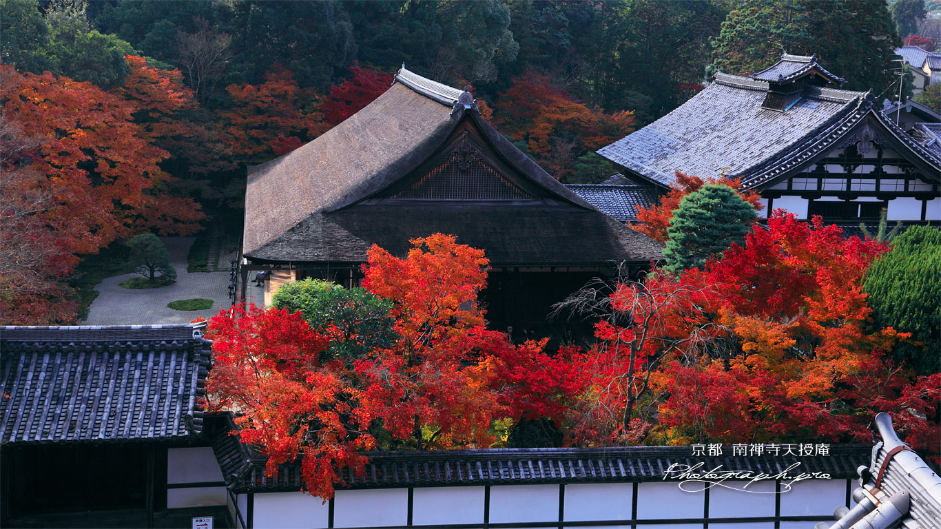 南禅寺三門から紅葉の天授庵 壁紙