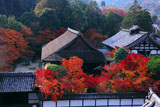 南禅寺三門から紅葉の天授庵
