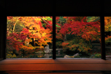 蓮華寺 紅葉の浄土式庭園