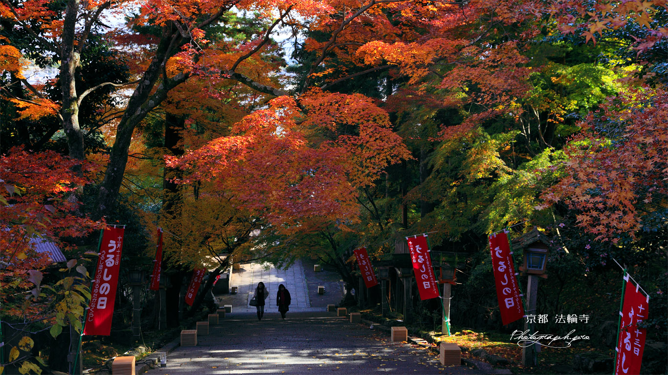京都法輪寺 石段の紅葉 壁紙