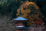 京都法輪寺 黄葉の多宝塔