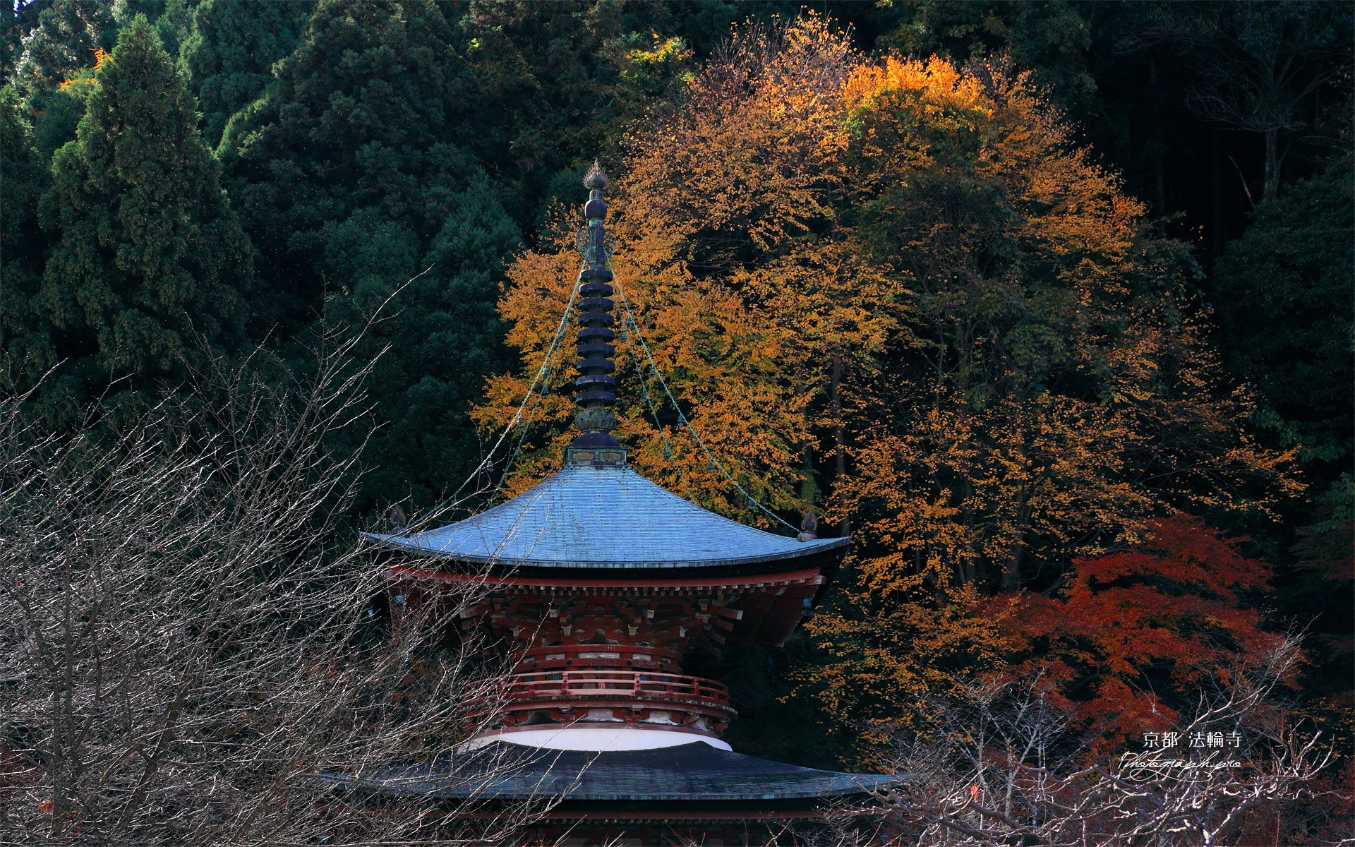 京都法輪寺 黄葉の多宝塔
