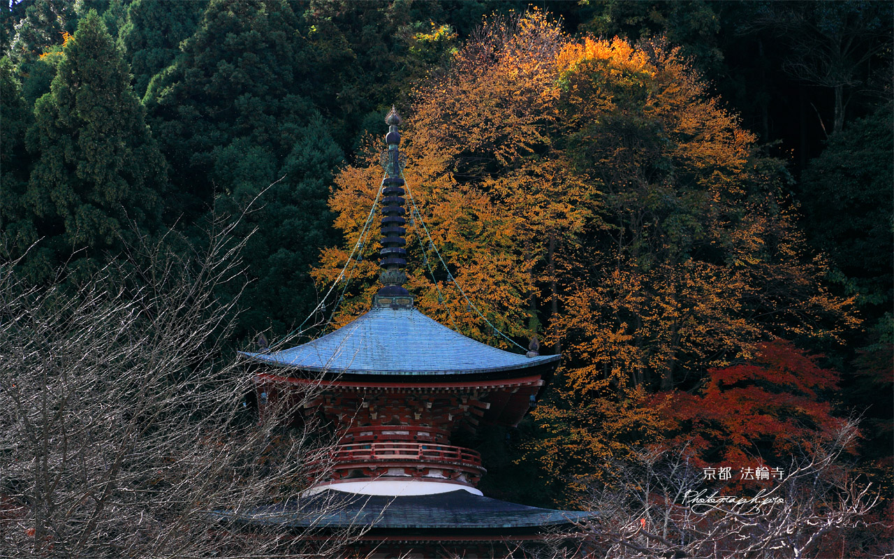 京都法輪寺 黄葉の多宝塔 壁紙