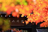 常寂光寺 紅葉越しの山門扁額